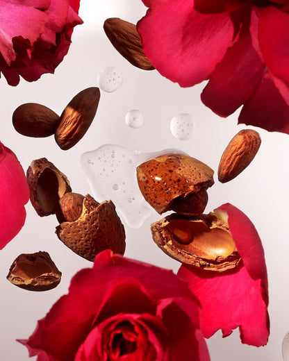 The Ritual of Ayurveda XS